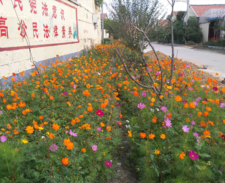 格?；?>
                                </div>
                               
                            </a>
                            <a href=